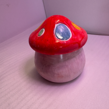 Coloured Mushroom Box