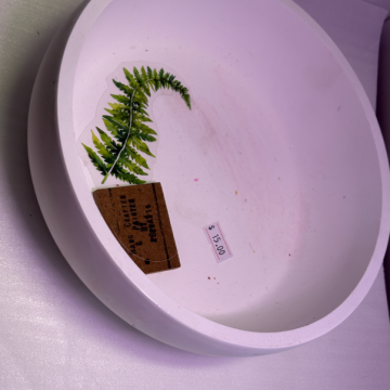 Fern Bowl
